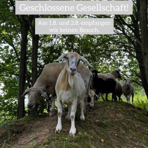 Heute und morgen haben wir geschlossen!

Auf den Punkt gebracht: Wir machen uns und unser Gelände hübsch für euch! Damit wir kommendes Wochenende zum Tierheimfest in vollem Glanz erstrahlen können, nehmen wir uns zwei Tage zur Vorbereitung. 
Sämtliche abgesprochenen Termine bleiben natürlich bestehen.

Wir bauen auf euer Verständnis und freuen uns auf euch zum Fest!

Zur Erinnerung: Das Fest findet statt am 3. und 4. August, 12-17 Uhr.
Bringt Hunger und Durst mit!

Euer Tierhafen-Team

#tierhafen #tierheim #tierheimfest #tierschutz #alittlepartyneverkillednobody #partylöwen #event #veranstaltung #badkarlshafen