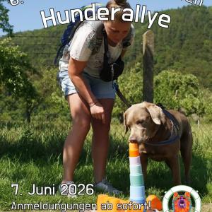Wer wagt sich auf die Strecke?

Ob Rallye-Neuling oder alter Hase - Bei unserer 6. Hunderallye werden K&ouml;pfe rauchen und Lachmuskeln strapaziert. Inka von @grappamaus t&uuml;ftelt schon wieder an abwechslungreichen Aufgaben, damit Hund-Mensch-Teams jeder Erfahrungsstufe ordentlich Punkte sammeln k&ouml;nnen.

Die ersten Anmeldungen sind uns schon ins Haus geflattert, doch von den insgesamt 27 Startpl&auml;tzen sind noch einige zu vergeben.
Schnell sein lohnt sich, denn am Ende des Tages warten nicht nur Spiel, Spa&szlig; und Spannung, sondern auch neue Erfahrungen, neue L&ouml;sungsans&auml;tze und volle Preist&uuml;ten auf alle Teilnehmer!

*Teilnahmegeb&uuml;hren*
regul&auml;r - 30 Euro 
ehemalige Tierhafen-Sch&uuml;tzlinge mit eigenem Menschen - 25 Euro 
eingetragene Gassig&auml;nger mit Tierheimhund - 15 Euro 

Start: 07.06.2026 um 12 Uhr
Ort: Wiesenfeld 4, 34385 Bad Karlshafen
Anmeldung per Mail an tierhafen@bmt-tierschutz.de

#tierhafen #hundeliebe #hunderallye #tierheim #badkarlshafen