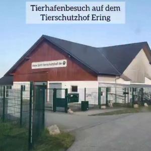 In anderen H&auml;fen unterwegs...

...ist derzeit unsere Tierheimleitung Antonia, die in den kommenden Tagen jede Menge Kilometer schrubben wird. Erster Halt auf der Tour, auf die wir euch nach und nach mitnehmen werden, war die bmt - Gesch&auml;ftsstelle Bayern, der @tierschutzhof_ering_bmt_bayern 

Hofleitung Beate hat all ihre Sch&uuml;tzlinge vorgestellt, die hier einen Lebensplatz gefunden haben, Antonia und Christian hinter die Kulissen blicken lassen und vor der n&auml;chsten Etappe ein sicheres Nachtlager geschenkt. Herzlichen Dank daf&uuml;r!

Mit einem vollen Transporter rollt die Reisegruppe Sorglos nun ein ganzes St&uuml;ck weiter nach Osten. Was glaubt ihr, wohin sie unterwegs ist?

Bis zur Aufl&ouml;sung schaut doch gern einmal auf der Homepage unserer Kollegen vorbei und lasst ihnen ein bisschen Liebe da!
https://tierschutzhof-ering.bmt-tierschutz.de/

Wenn ihr selbst mal in der N&auml;he seid und mit anpacken wollt, ist das die Adresse zum Gl&uuml;ck:

Tierschutzhof Ering
K&uuml;hstein 4
94140 Ering

#tierhafen #tierschutz #bmt #lebenshof
